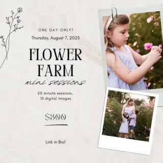 🌺 So exciting!! 🌺  I have just THREE spots available for mini sessions at the Wildflower Farm in Monee Thursday, August 7th.  The  link for more info and to secure your spot is in my bio…