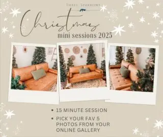 Pretty Christmas trees and twinkling lights…the perfect backdrop for some holiday photos! 

I’m thrilled to announce that my 2025 indoor Christmas mini sessions are open for booking! 
🎄 Two Saturday mornings, November 15 and 22nd, starting at 8 am.
🎄15 minute sessions
🎄5 images included (with the option to purchase more if you’d like)

$150

These minis are perfect for kids, a family, or couples who want beautiful holiday photos without the winter chill!  I hope to see you!! ❤️
#newlenoxillinois 
#mokenaillinois 
#homerglenillinois #newlenoxmoms #newlenoxsmallbusiness #christmasminisession 
#newlenoxil
