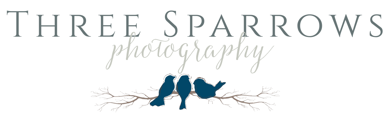 Three Sparrows Photography, New Lenox IL Family and Kids Portrait Photographer