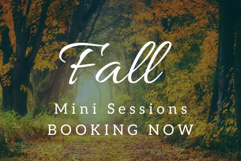 New Lenox Fall Mini Sessions