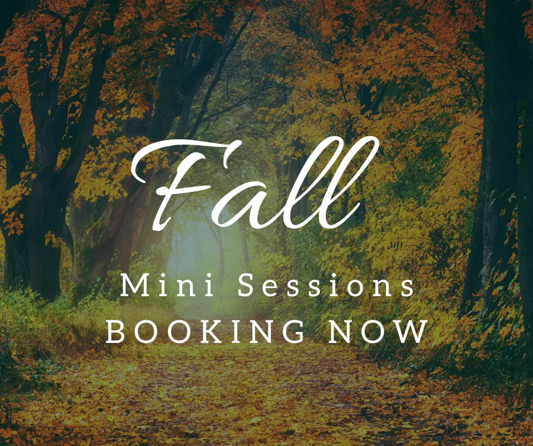 New Lenox Fall Mini Sessions
